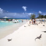 Gallery Thumbnail 1