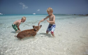 Exuma Swimming Pigs Boat Excursion: